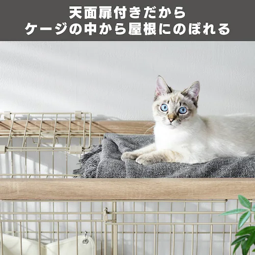 �E�b�f�B�L���b�g�P�[�W2�i PWCR-962V ���C�g�O���[_6