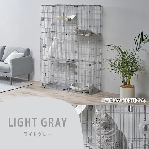 �L�X�X�����L���b�g�P�[�W HSCC�641 ���C�g�x�[�W��_13