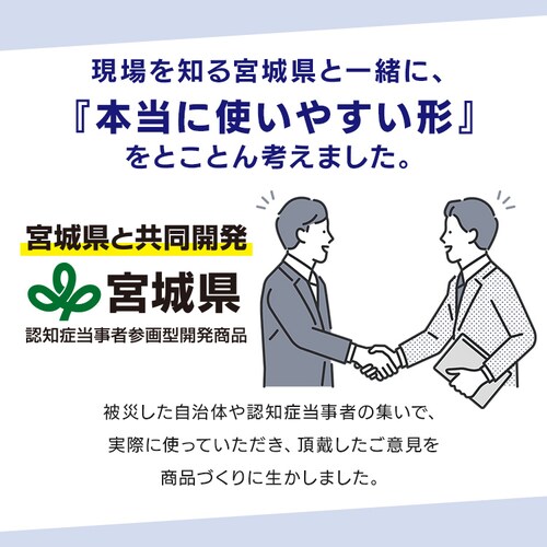 ���p�g�C���܁@�z���V�[�g��̃^�C�vSTG-20�P�i_4