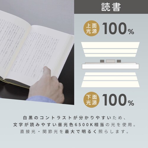 ���r���O���� �V�[�����O���C�g �������F 8�� CLP-8DL-LV_4