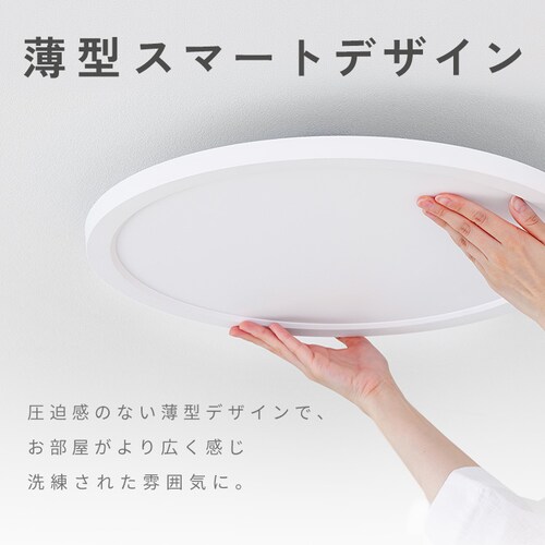 ���r���O���� �V�[�����O���C�g �������F 8�� CLP-8DL-LV_8
