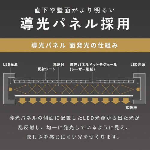 ���r���O���� �V�[�����O���C�g �������F 8�� CLP-8DL-LV_10