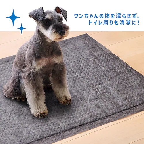 超吸臭ペットシーツ レギュラー 100枚 SCPS-100_10