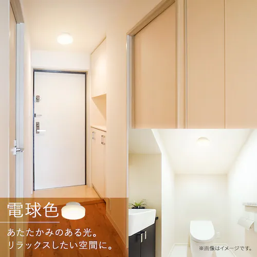 ���^�V�[�����O 2000lm �d���F �l������ SCL20L-H_4