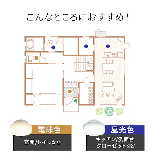 ���^�V�[�����O 2000lm �d���F �l������ SCL20L-H_6