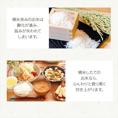 ���ċ@ �ĉ��̎|�� ���������Â� �u���b�N_3