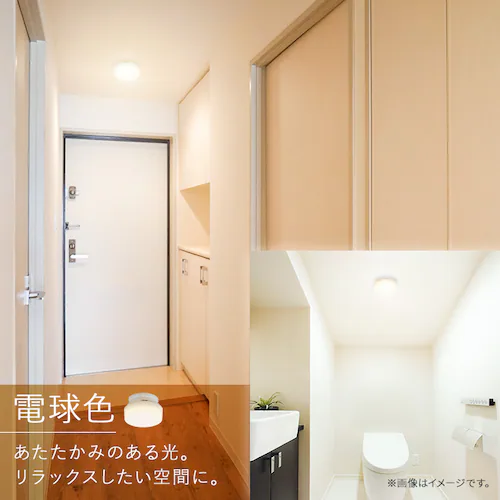 ���^�V�[�����O 600lm �����F �l������ SCL6D-H_4