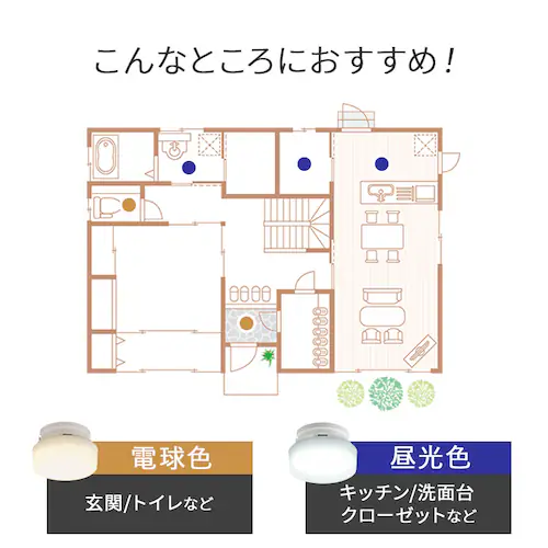 ���^�V�[�����O 600lm �����F �l������ SCL6D-H_6