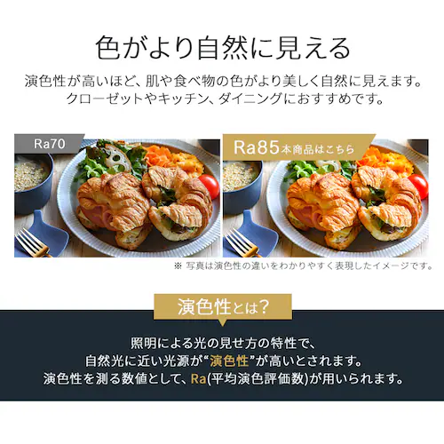 ���^�V�[�����O 600lm �����F �l������ SCL6D-H_7