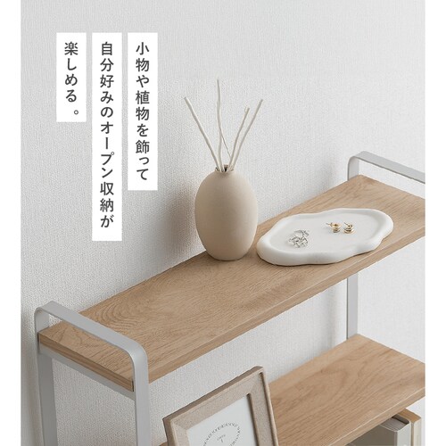 �X�`�[���E�b�h�X�������b�N LSWR-600 �i�`�������^�O���[_9