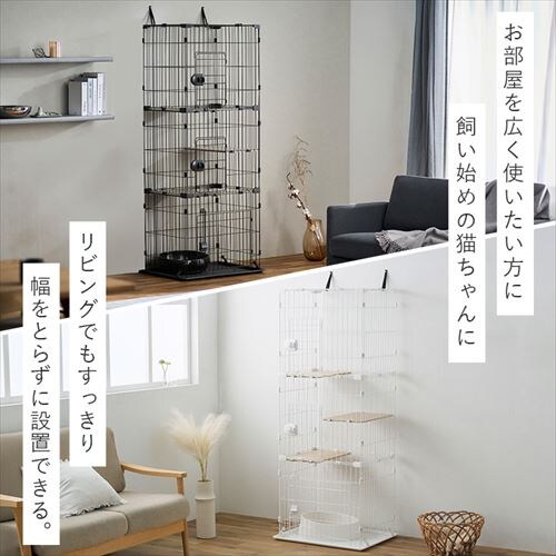 �R���p�N�g�L���b�g�P�[�W�R�i CCC-168 �i�`������_6