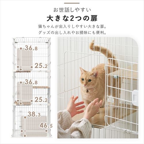 �R���p�N�g�L���b�g�P�[�W�R�i CCC-168 �i�`������_9