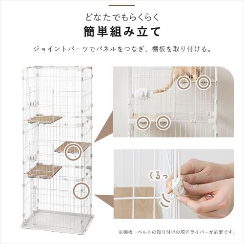 �R���p�N�g�L���b�g�P�[�W�R�i CCC-168 �i�`������_10