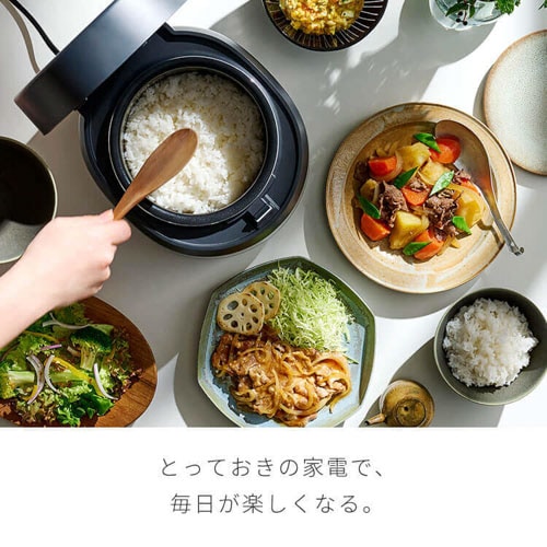 炊飯器 3合 マイコン式 50銘柄炊き RC-MSA30-HA アッシュ 299172