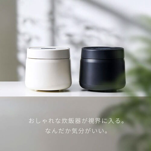 炊飯器 5.5合 マイコン式 50銘柄炊き RC-MSA50-W ホワイト 299173