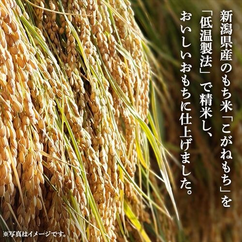 �V�������˂��� 1kg _3