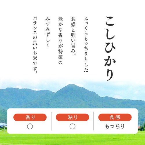 �p�b�N���� �R�V�q�J�� 150g ���Y��100�� �ቷ���@�Ă̂����������͂�_3