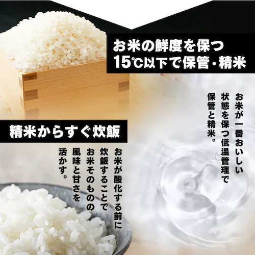 低温製法米のパックごはん 特盛 300g×48パック_8