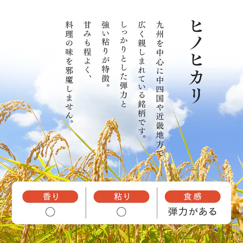 【3食】 パックご飯 150g 3食 ヒノヒカリ 低温製法米のおいしいごはん_2