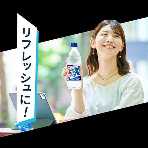 24本】アイリス史上最強炭酸 TANSAN X 450ml 312061 │アイリス