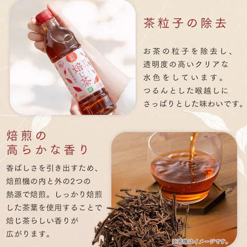 ラベルあり ほうじ茶 500ml×24本_6