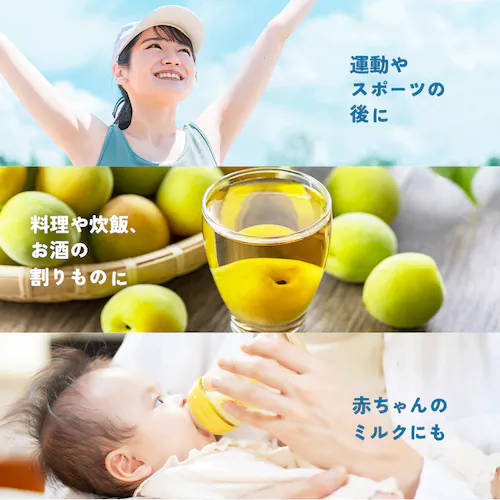 �x�K���^��� �x�m�R�̓V�R�� 500ml�~24�{_6