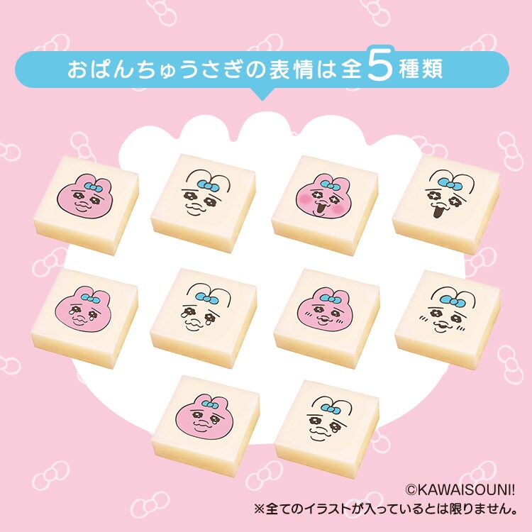 2個】おぱんちゅうさぎ 生きりもち 250g 1927266 │アイリスオーヤマ