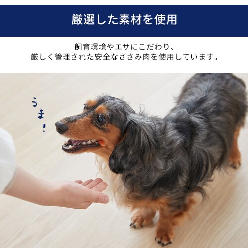 まるごとささみジャーキー 100g 細切り プレーン P-IJ-HSE100 犬