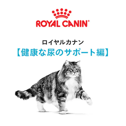 ロイヤルカナン キャットフード健康な尿を維持したい 成猫用 ユリナリーケア 2kg FCN(フィーライン ケア ニュートリション)rccf31_1