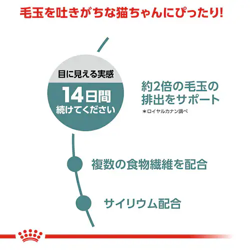 ロイヤルカナン キャットフードWET ヘアボールケア 成猫用 85g rccf29_3