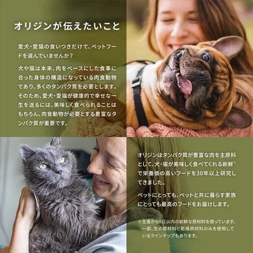 アウトレット賞味期限印字不良】アカナ シニアドッグレシピ 2kg