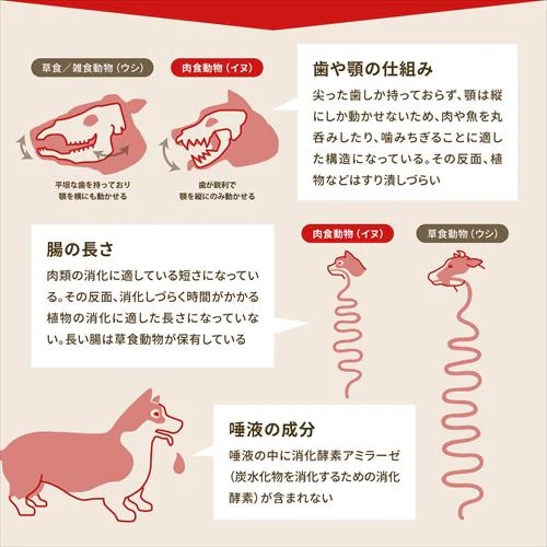 アウトレット賞味期限印字不良】アカナ シニアドッグレシピ 2kg