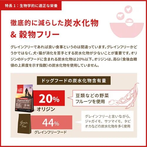 アウトレット賞味期限印字不良】アカナ シニアドッグレシピ 2kg