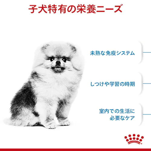 ロイヤルカナン 犬用 ミニ インドア パピー 800g SHN(サイズ ヘルス ニュートリション)rcdb53_2