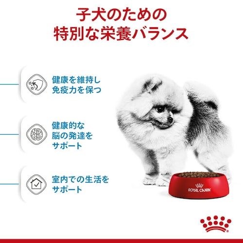 ロイヤルカナン 犬用 ミニ インドア パピー 800g SHN(サイズ ヘルス ニュートリション)rcdb53_3