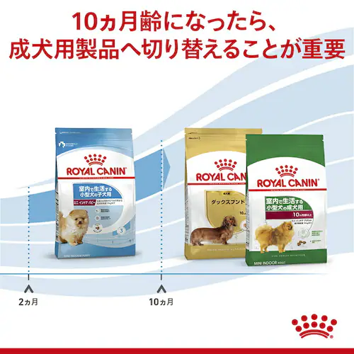 ロイヤルカナン 犬用 ミニ インドア パピー 800g SHN(サイズ ヘルス ニュートリション)rcdb53_5
