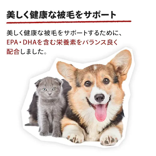 【2個セット】 ロイヤルカナン 犬用 ミニ インドア アダルト 4kg SHN(サイズ ヘルス ニュートリション)rcdb54_2