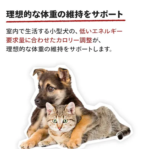 【2個セット】 ロイヤルカナン 犬用 ミニ インドア アダルト 4kg SHN(サイズ ヘルス ニュートリション)rcdb54_4