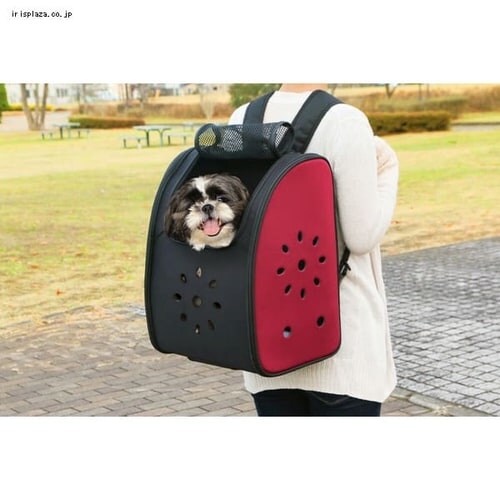 4WAY�y�b�g�L�����[ �S3�F_4