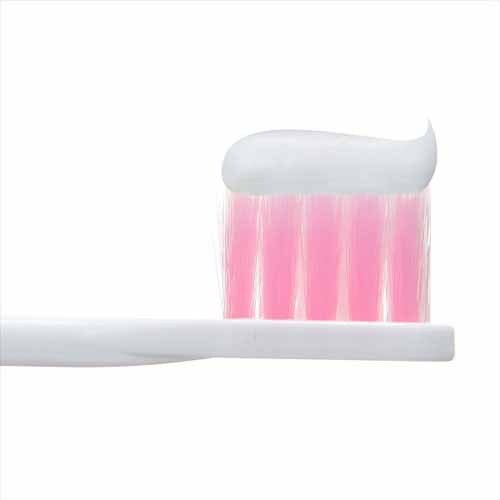 LION �V�X�e�} �n�O�L�v���X �n�~�K�L 95g S/�m�o�ߕq�P�A�y�v���U�Z���N�g�z_2