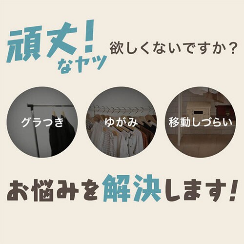 �p�C�v�n���K�[ 1�A �ω׏d80kg CW3001�]95 �V���o�[_3