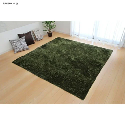 『ラルジュ』 長方形 200×250cm イケヒコ グリーン 【プラザセレクト】_9