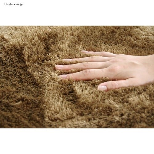 �w�����W���x �����`��@200�~300cm �C�P�q�R �p�[�v�� �y�v���U�Z���N�g�z_2