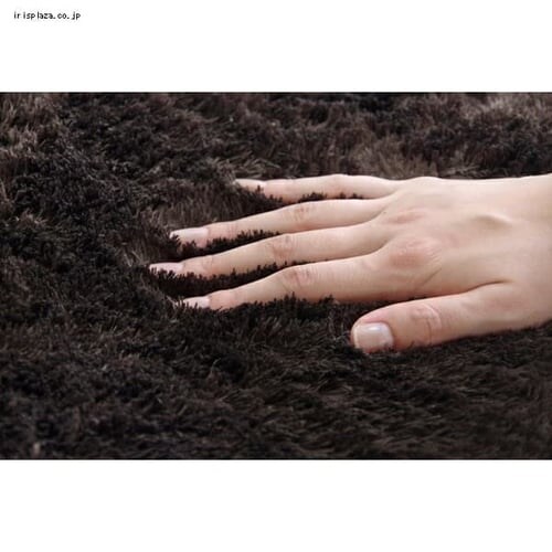 �w�����W���x �����`��@200�~300cm �C�P�q�R �p�[�v�� �y�v���U�Z���N�g�z_6