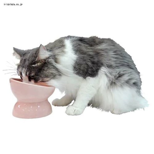 ���ˏ� �ɂ��y�H�� ���͂�~���L�[�u���[ �y�b�c���[�g _2