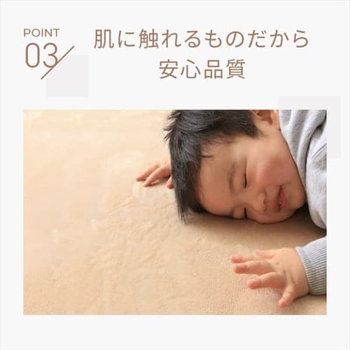 ラグ フランネルラグ 抗菌防臭 防ダニ加工 200cm×250cm ベージュ FNR