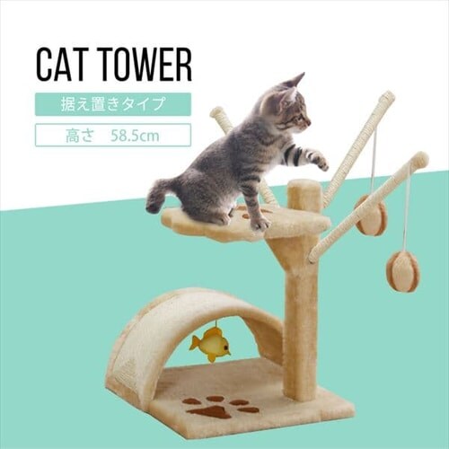 �L���b�g�����h_2