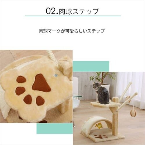 �L���b�g�����h_5