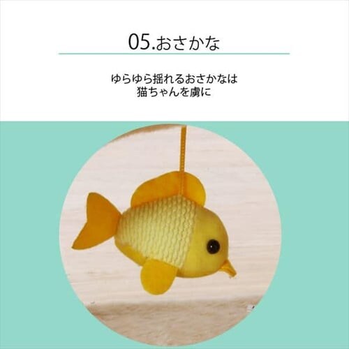 �L���b�g�����h_8