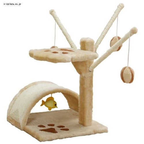 �L���b�g�����h_12